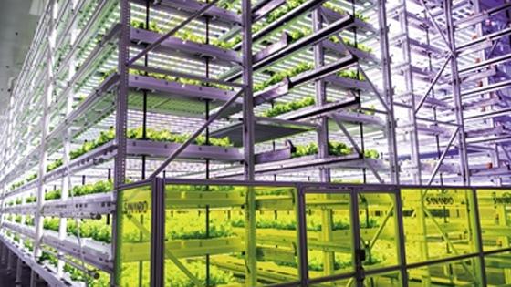 中國式現(xiàn)代化之路 生物技術開發(fā)服務的崛起與前景